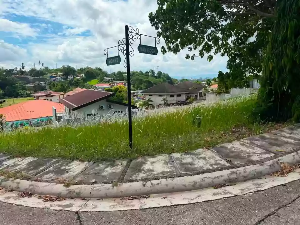 For Sale: Residential Lot in Ma-a, Davao City — 458 sqm — Residential Lot in Davao City, Davao del Sur, 8000 — Photo 3