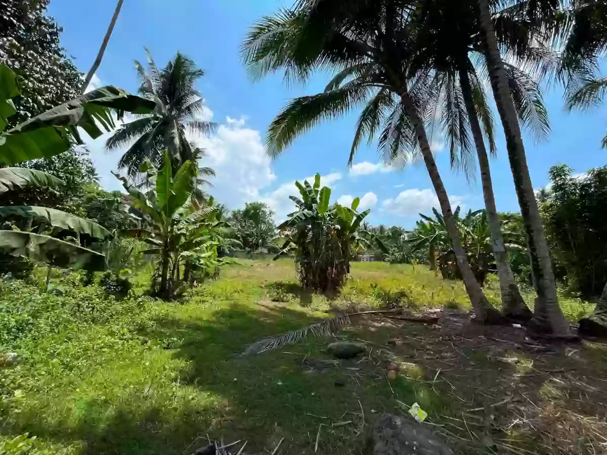 For Sale: Residential Lot in Bacung, Negros Oriental — 1899 sqm