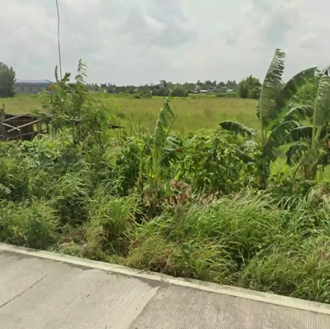 Commercial Lot for Lease — Agricultural Lot in Cararayan, Naga City, Camarines Sur — Photo 5