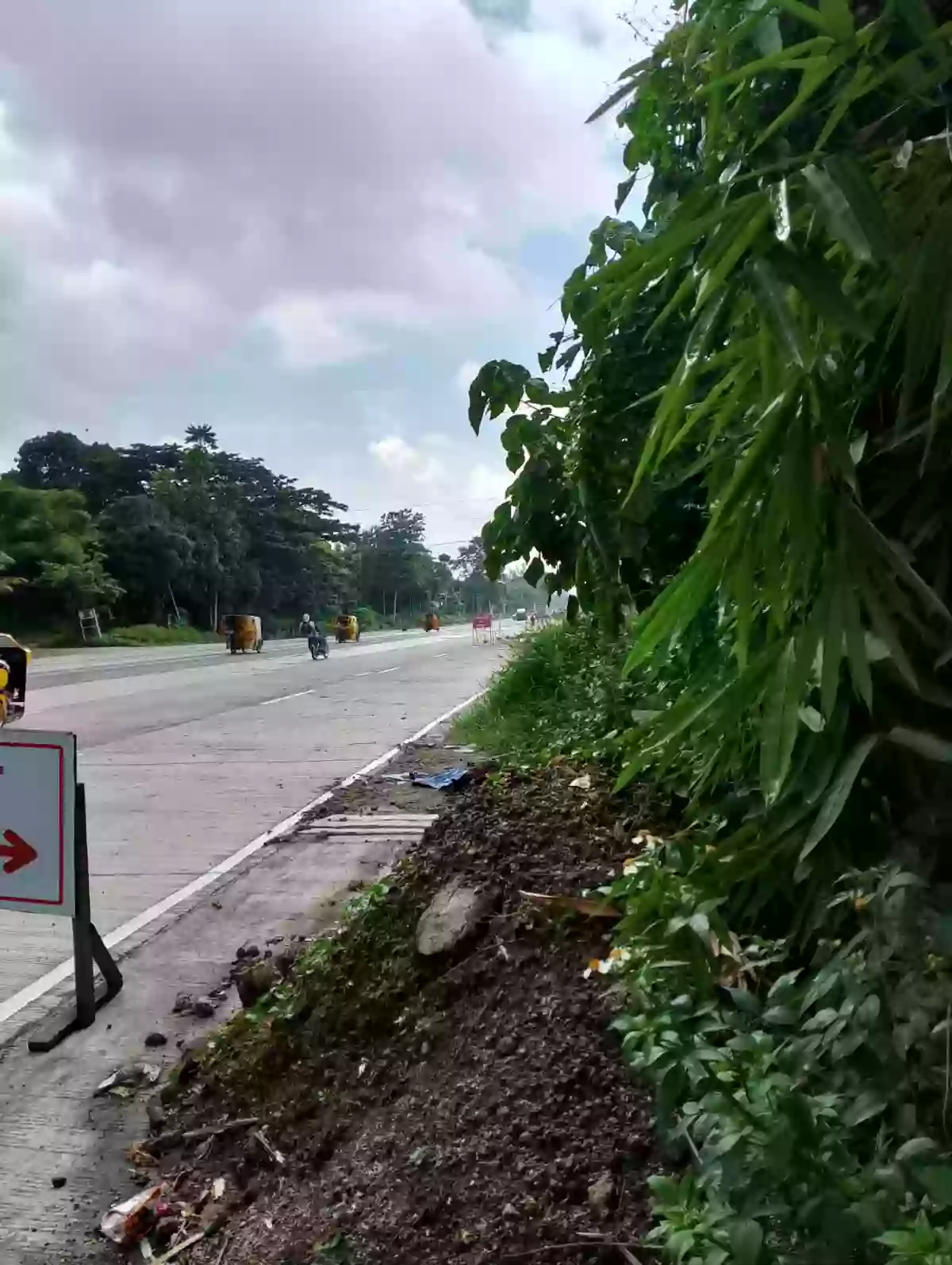 For Sale: 20000 sqm Agricultural Lot in Pagalungan, Polomolok — Agricultural Lot in Polomolok, South Cotabato, 9504 — Photo 3