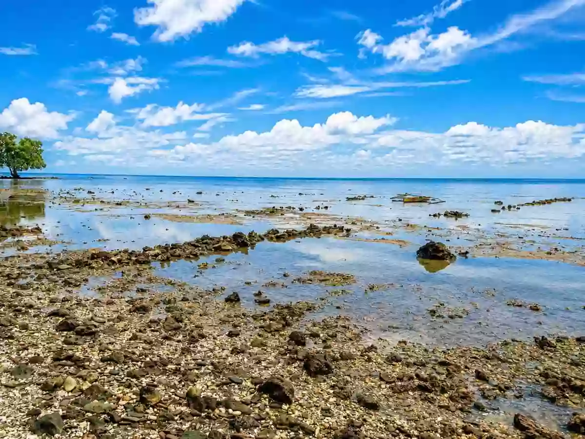 For Sale: Beach Lot in Binduyan, Puerto Princesa City — 6000 sqm