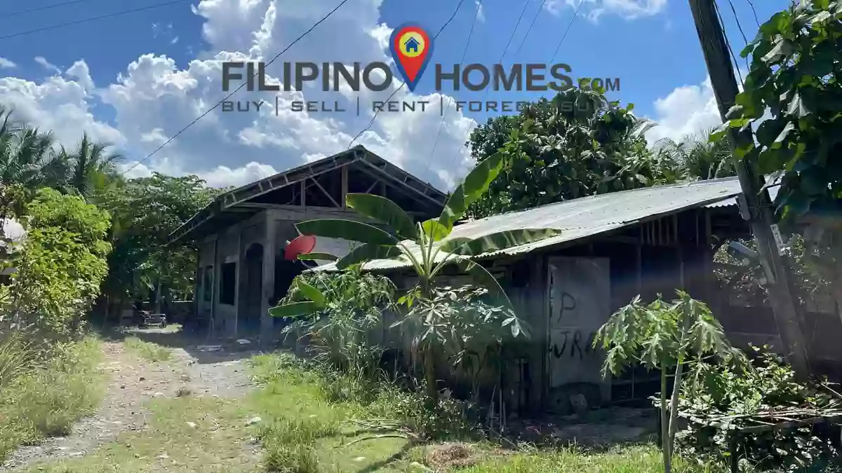 ALONG THE HIGHWAY PRIME LOT — Agricultural Lot in Kapayawi, Libungan, Cotabato — Photo 3
