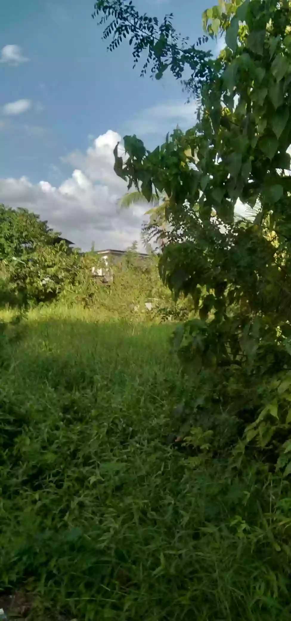COMMERCIAL / RESIDENTIAL LOT — Commercial Lot in Butuan City, Agusan del Norte, 8600 — Photo 2