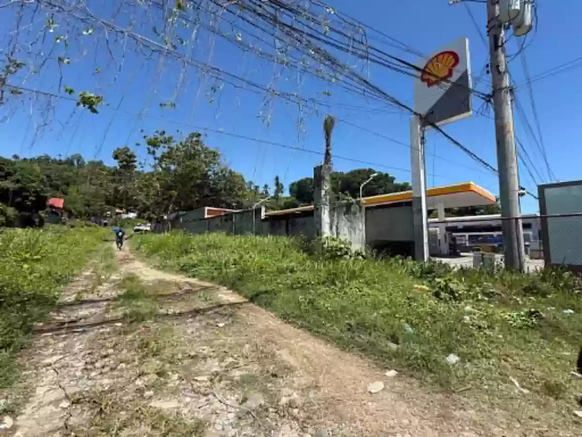 Commercial Lot for Sale Near Robinsons Place Iligan, Iligan City — Highway Frontage — Commercial Lot in Tominobo Proper, Iligan City, Lanao del Norte — Photo 2
