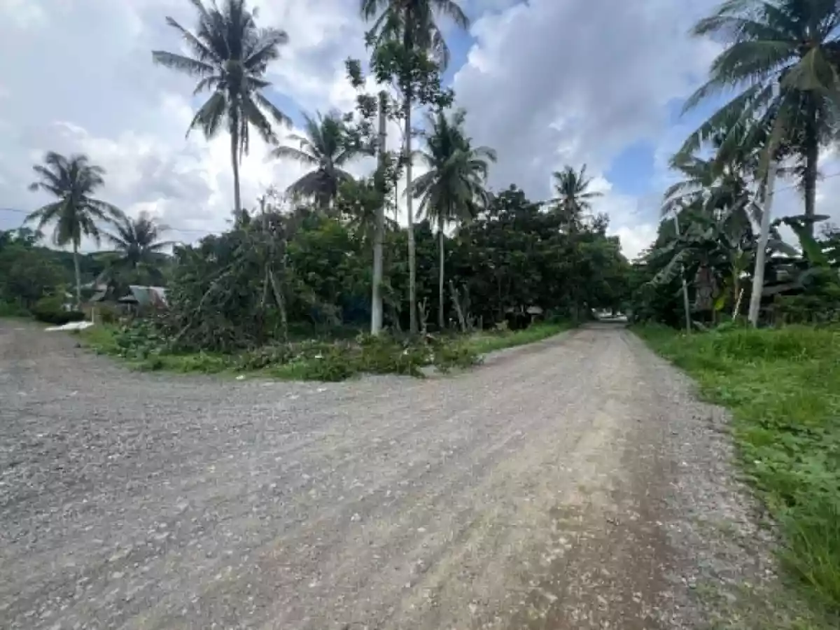 For Sale: Residential Lot in Alfonso XIII (Pob.), Quezon, Palawan — 596 sqm — Residential Lot in Alfonso XIII (Pob.), Quezon, Palawan — Photo 5