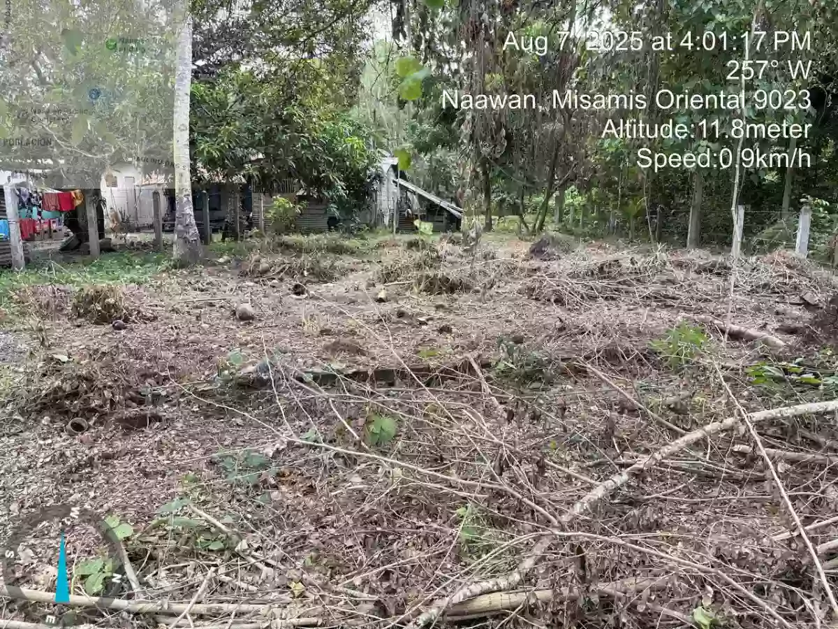 For Sale: Agricultural Lot in Poblacion, Naawan — 1299 sqm — Agricultural Lot in Poblacion, Naawan, Misamis Oriental — Photo 3