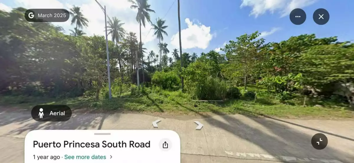 For Sale: Agricultural Lot in Tubtub, Brooke’s Point —  6,743 sqm — Agricultural Lot in Brooke’s Point, Palawan, 5305 — Photo 4