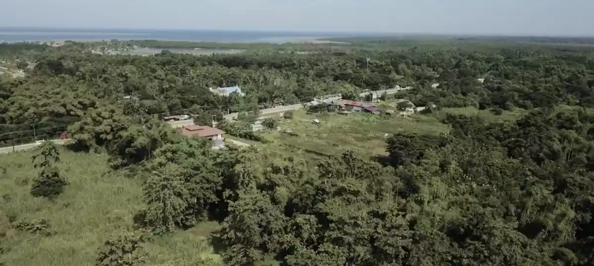 For Sale: Agricultural Lot in Tagburos, Puerto Princesa City — 292,567 sqm — Agricultural Lot in Puerto Princesa City, Palawan, 5300 — Photo 2