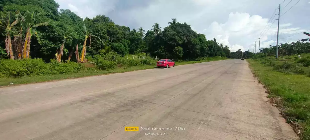 🏢 PRIME COMMERCIAL LOT FOR SALE – LAGUINDINGAN 🏢 — Commercial Lot in Lapad, Laguidingan, Misamis Oriental — Photo 3