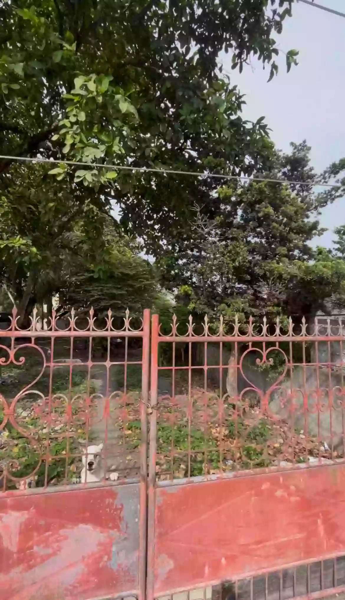 For Sale: Residential Lot in Lagao, General Santos City — 245 sqm — Residential Lot in General Santos City, South Cotabato, 9500 — Photo 2