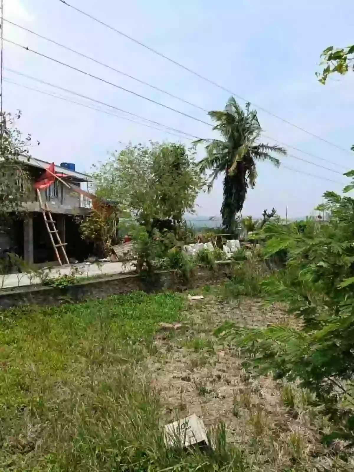 Commercial and Residential Lot for Sale! — Agricultural Lot in Cagmanaba, Ocampo, Camarines Sur — Photo 3