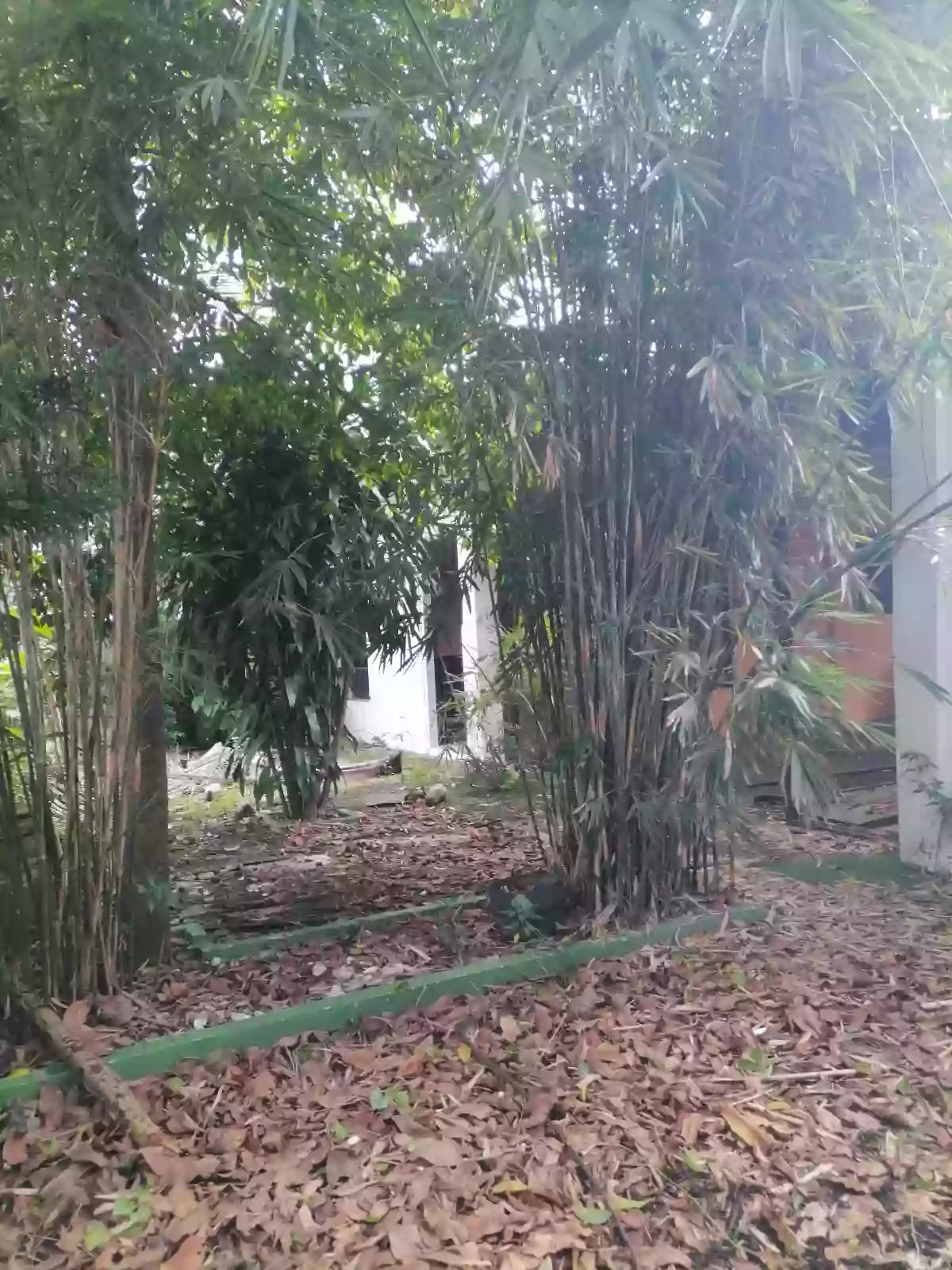 Residential Lot for Sale along City Center, District of Jaro, Iloilo City