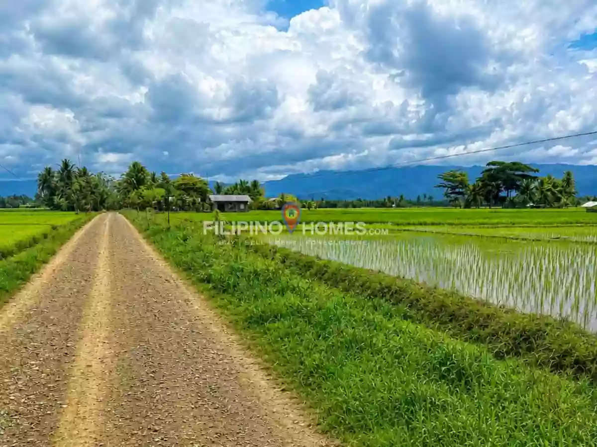 For Sale: Agricultural Lot in Gumaga, Libungan — 17217 sqm