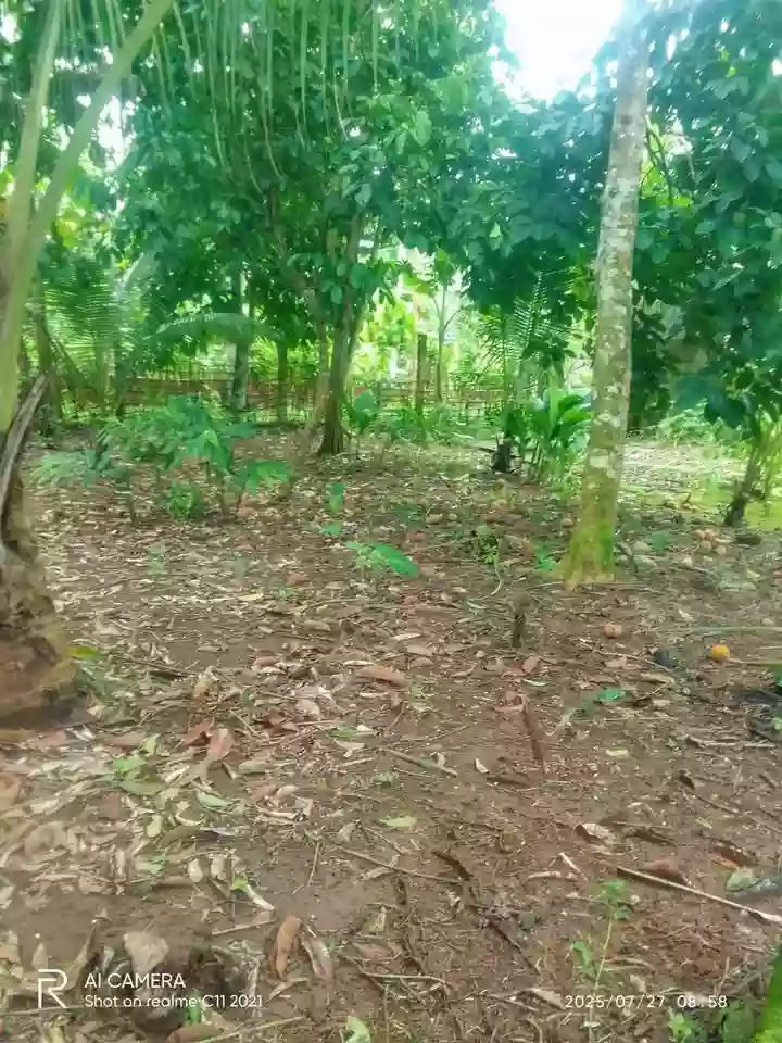 For Sale: Residential Lot in Pulong Bunga, Silang — 500 sqm — Residential Lot in Silang, Cavite, 4118 — Photo 3