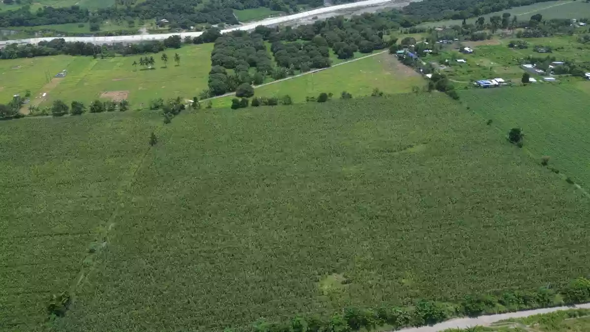 For Sale: Agricultural Lot in Cannery Site, Polomolok — 40000 sqm