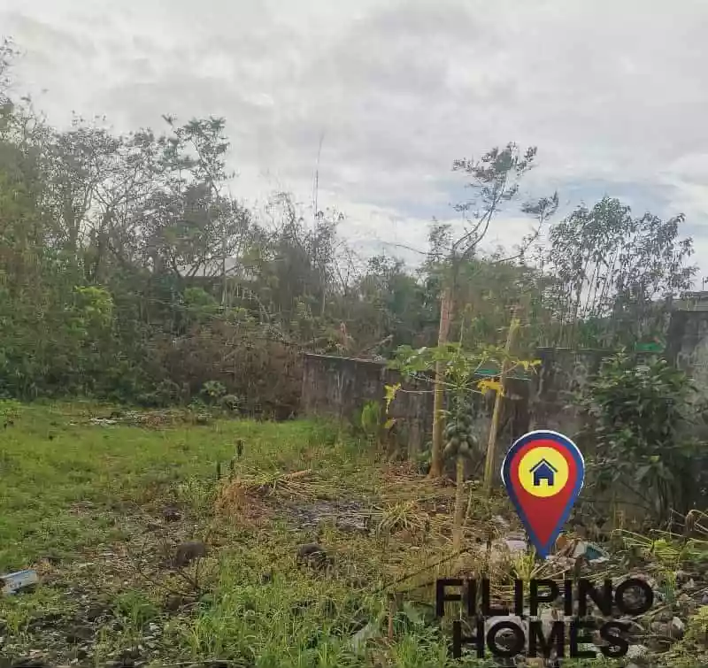 130 sqm residential lot for sale — Residential Lot in Naga City, Camarines Sur, 4400 — Photo 4