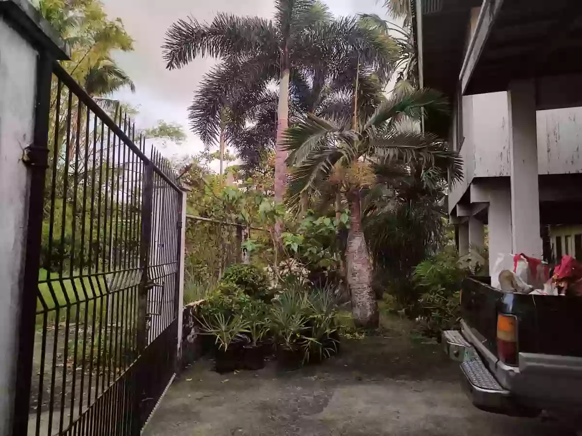 Income- Generating Property for Sale/ Villa Arevalo/ Clean Title — House and Lot in Santo Domingo, Iloilo City, Iloilo — Photo 6