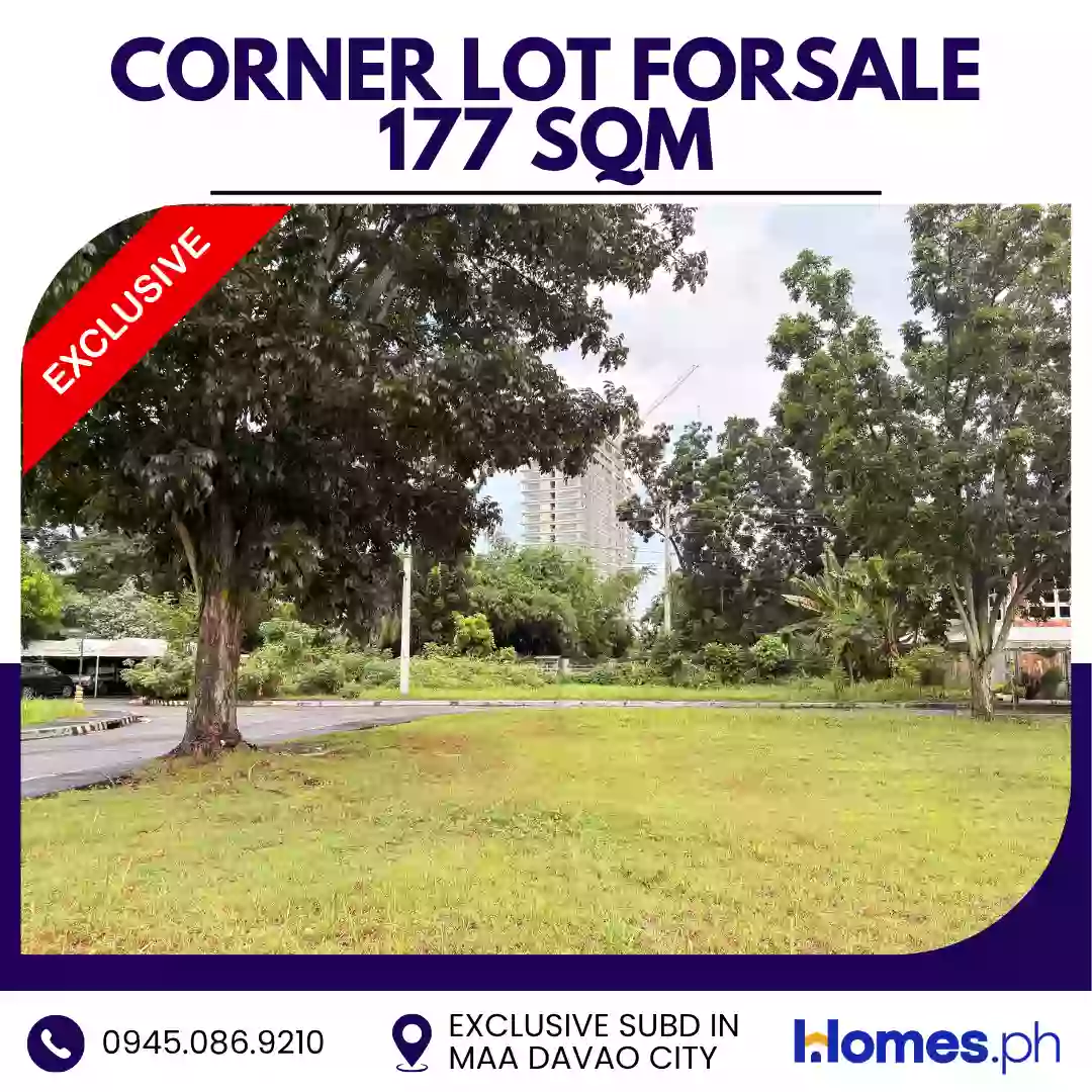 For Sale: Residential Lot in Ma-a, Davao City — 177 sqm Corner Lot — Residential Lot in Davao City, Davao del Sur, 8000 — Photo 5