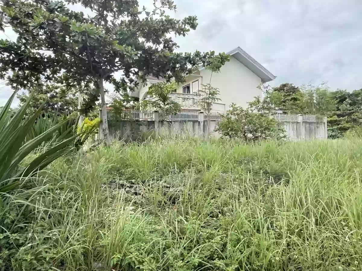 For Sale: Residential Lot in Sacsac, Consolacion, Cebu — 271 sqm — Residential Lot in Sacsac, Consolacion, Cebu — Photo 5