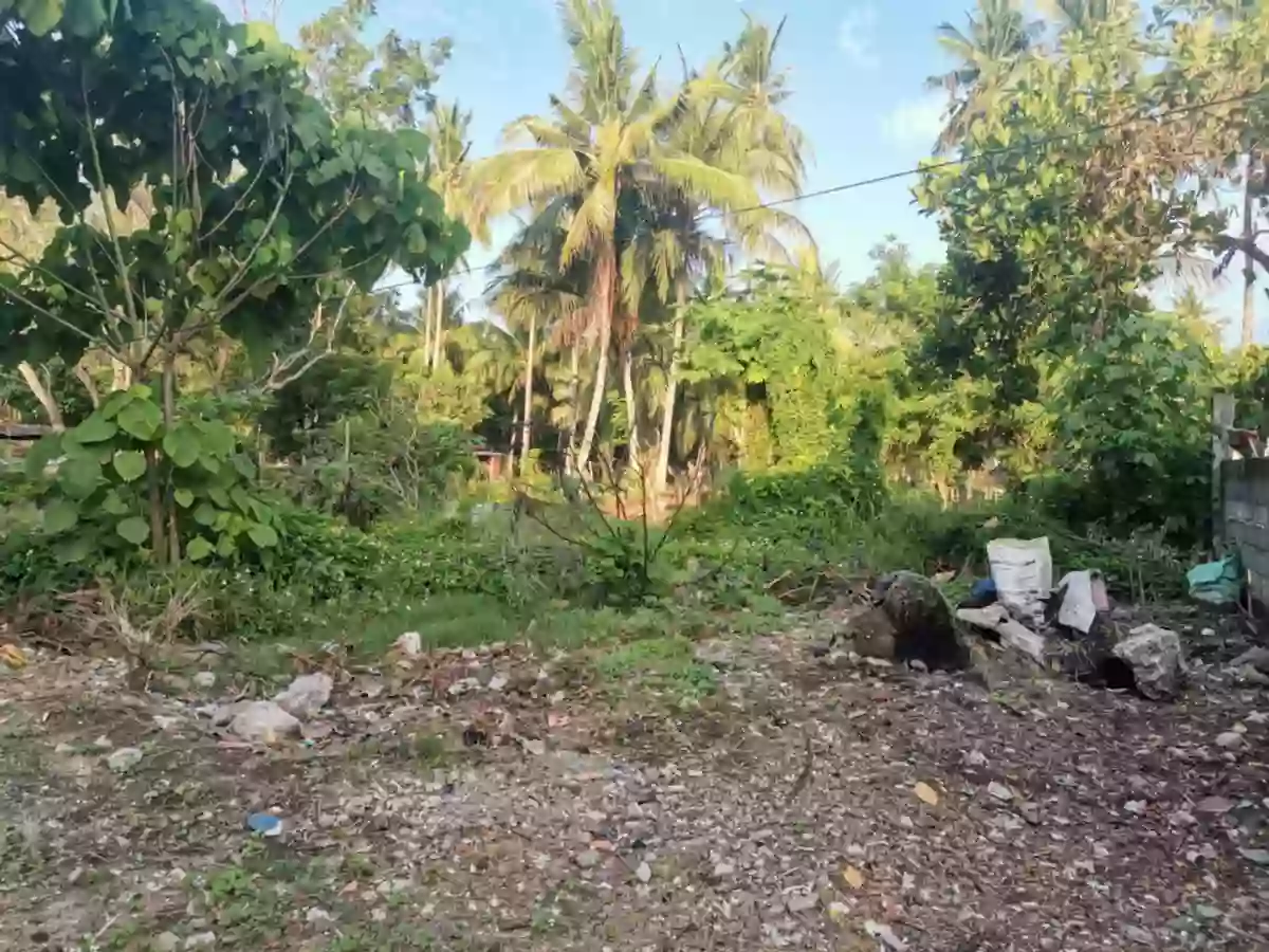 200 sqm Lot for Sale near UST, Ligaya, General Santos city — Residential Lot in General Santos City, South Cotabato, 9500 — Photo 2