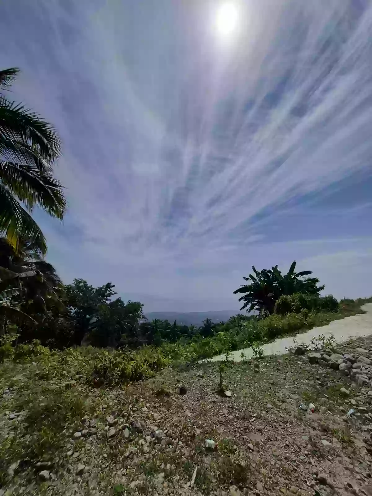 Open photo 10 of 12 — For Sale: Residential Lot in San Antonio, Sibulan — 300 sqm