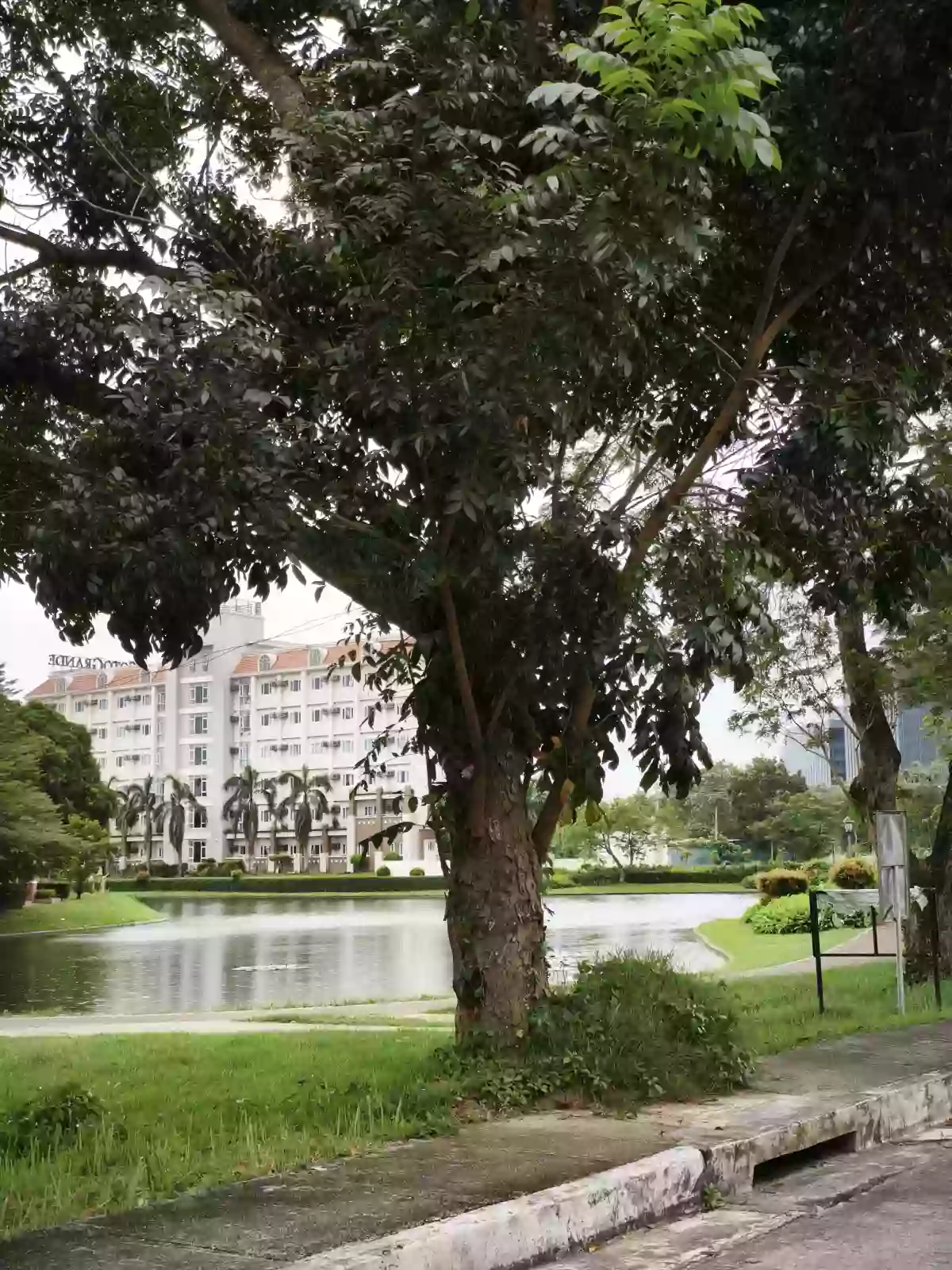 FOR SALE: Residential Lot in Tacas, Iloilo City — 150 sqm — Residential Lot in Iloilo City, Iloilo, 5000 — Photo 5