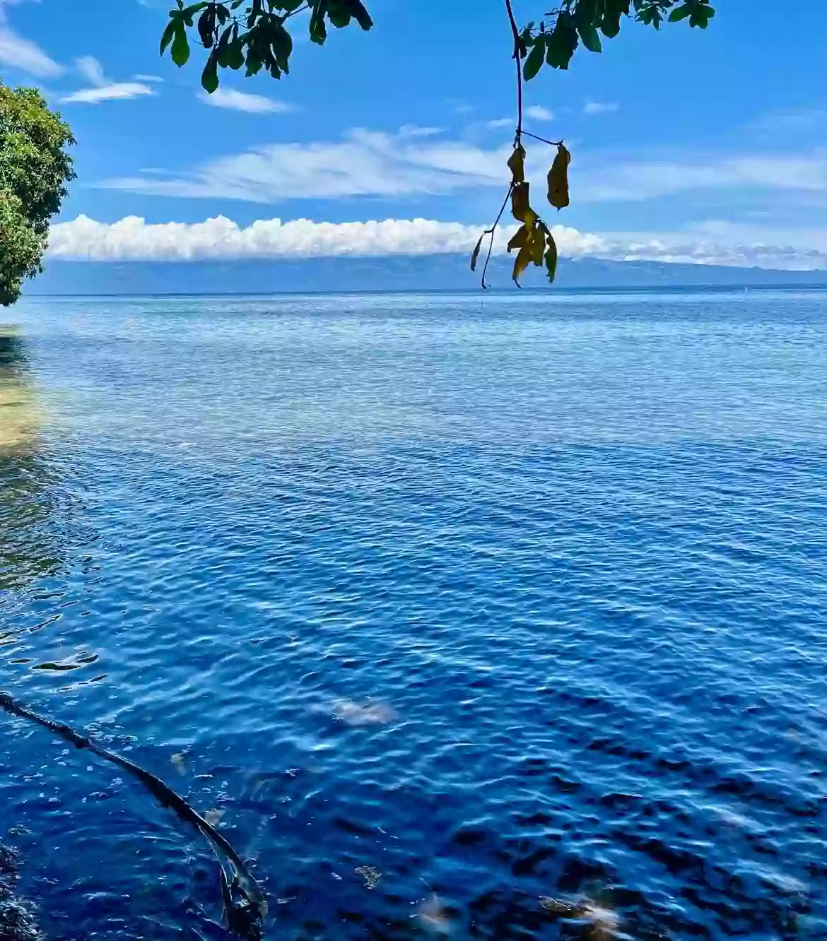 For Sale: Beach Lot in San Isidro, Magsaysay — 1,762 sqm — Beach Lot in Magsaysay, Misamis Oriental, 9015 — Photo 2