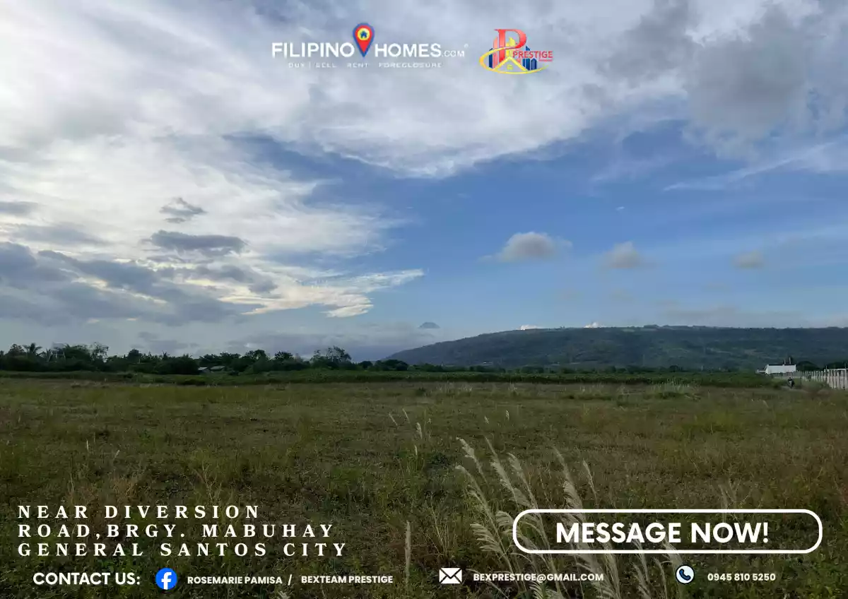 For Sale: Agricultural Lot in Mabuhay, Gen. Santos City — 20,000 sqm — Agricultural Lot in Gen. Santos City, South Cotabato, 9500 — Photo 3