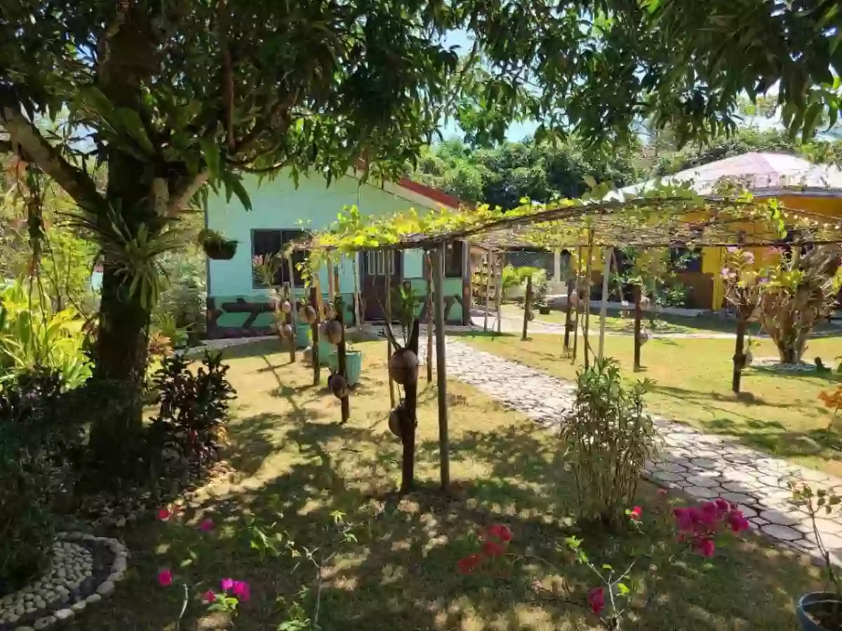 For Sale: 8130 sqm Residential Lot Property in Bacungan, Puerto Princesa City — Residential Lot in Puerto Princesa City, Palawan, 5300 — Photo 7