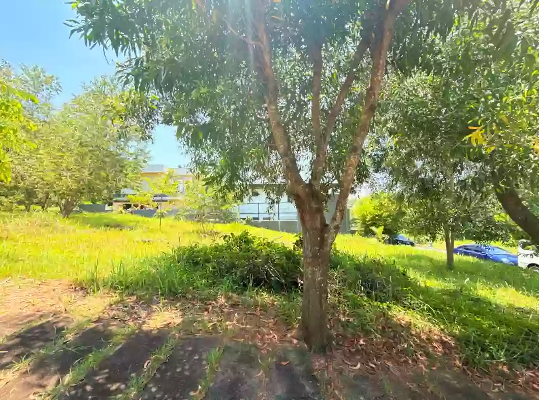 For Sale: Premium Residential Lot in Northcrest, Buhangin, Davao City — 755 sqm — Residential Lot in Davao City, Davao del Sur, 8000 — Photo 2