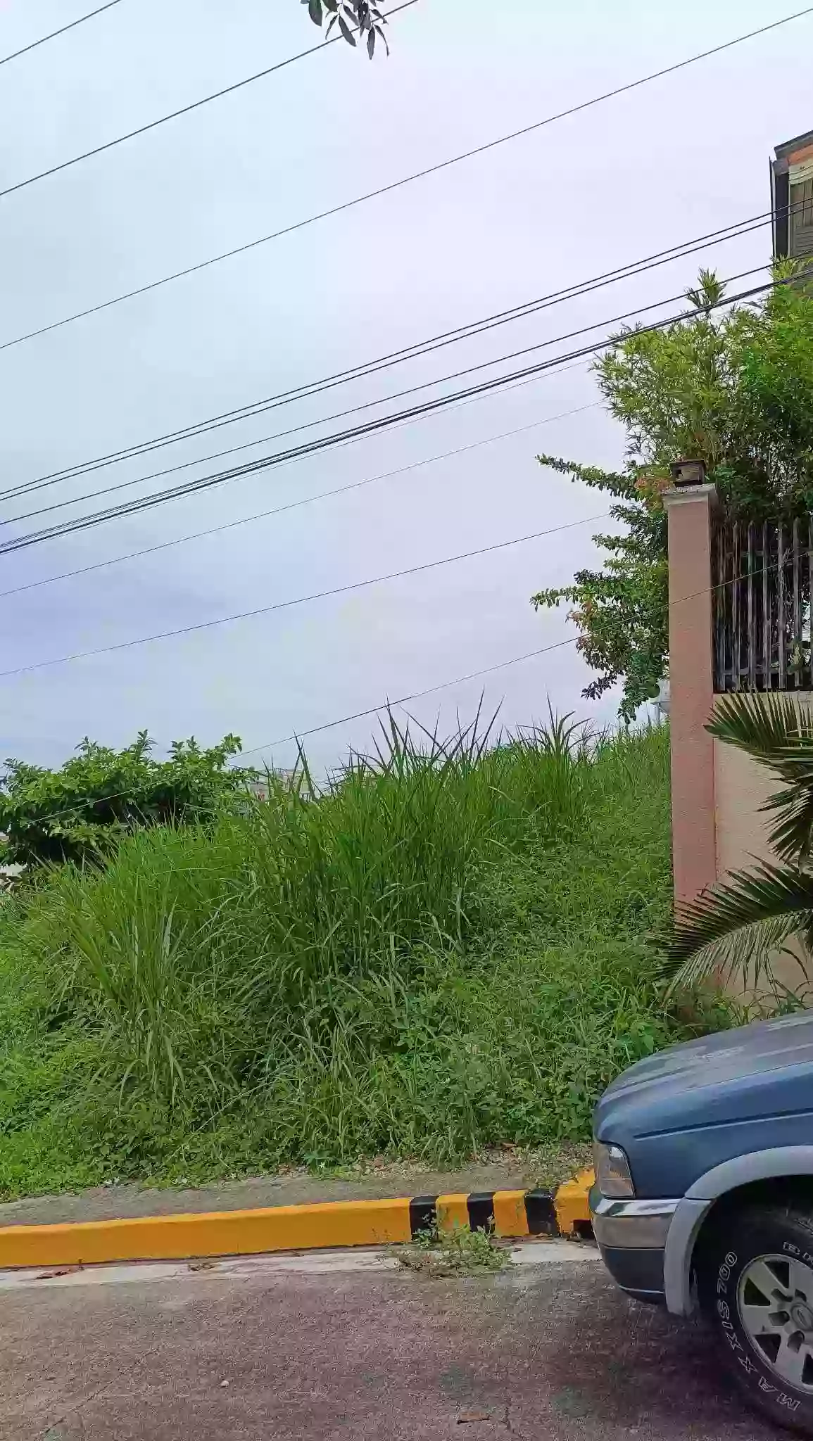 🌿 Prime Residential Lot for Sale – Pacific Heights Subdivision, Pardo, Cebu City — Residential Lot in Basak Pardo, Cebu City, Cebu — Photo 5