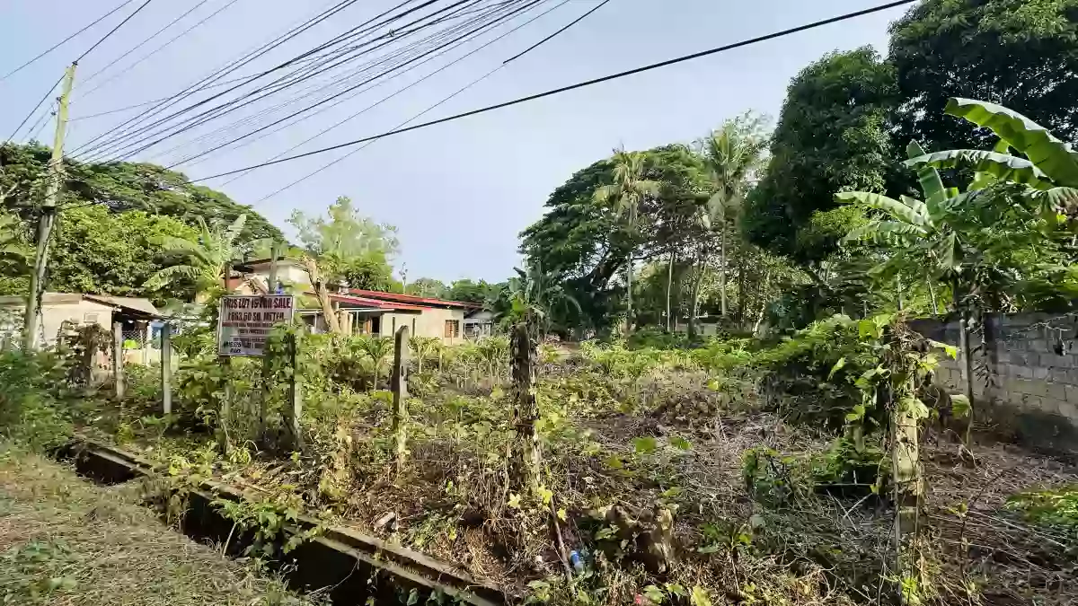 For Sale: Residential Lot in Bancao-bancao, Puerto Princesa City — 1,663.40 sqm — Residential Lot in Bancao-bancao, Puerto Princesa City, Palawan — Photo 3