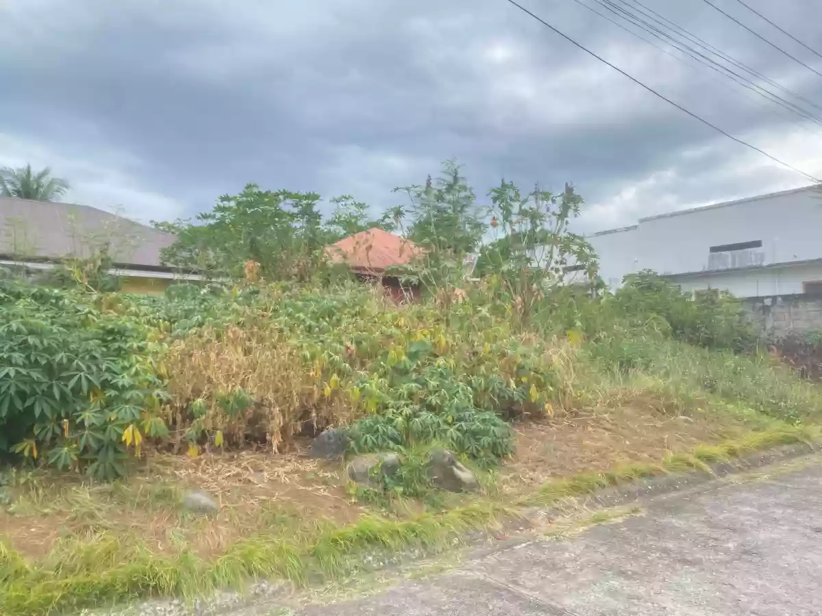 For Sale: Residential Lot in Candau-ay, Dumaguete City — 160 sqm — Residential Lot in Dumaguete City, Negros Oriental, 6200 — Photo 4