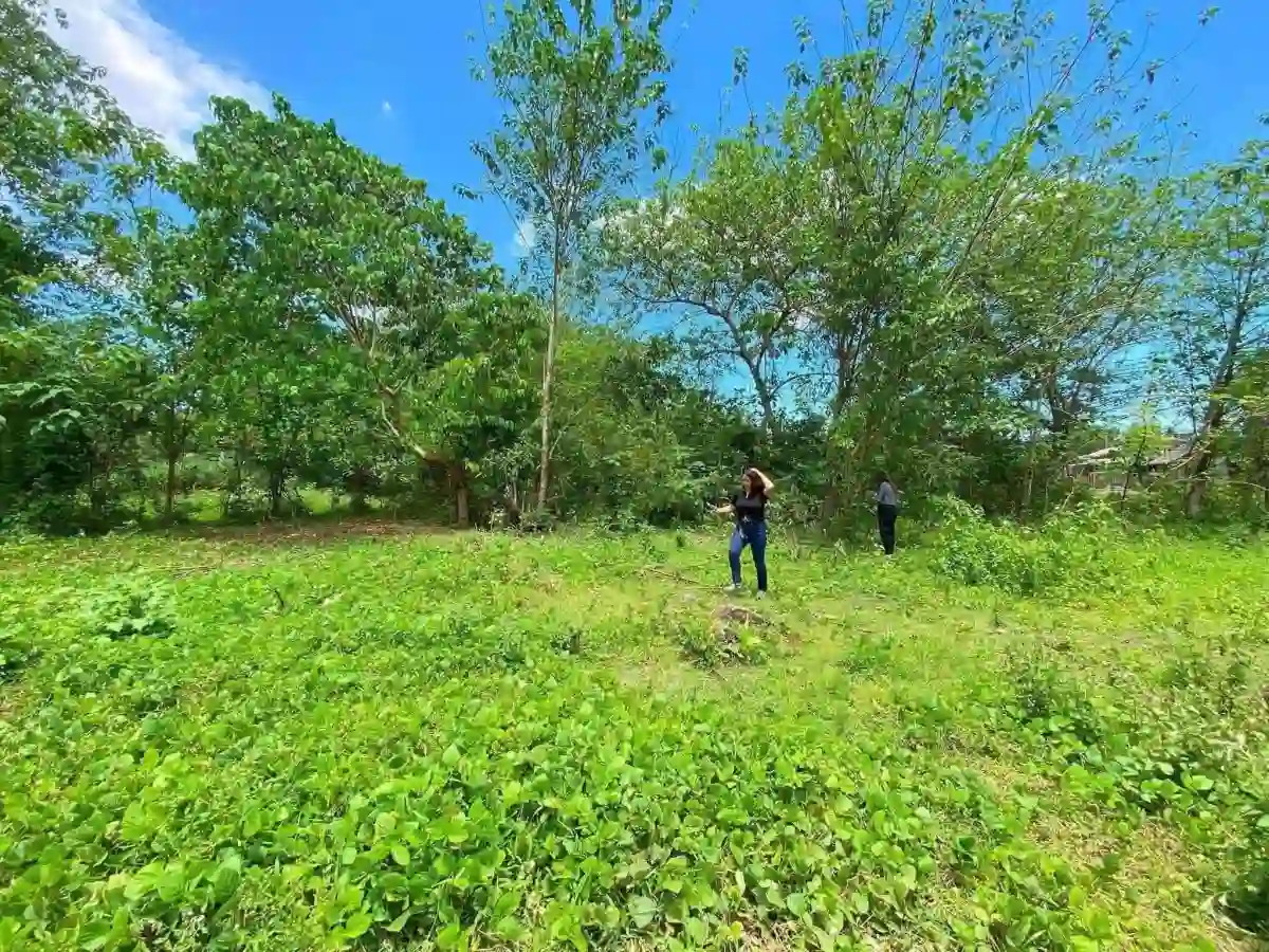 For Sale: Residential Lot Near Butuan City — 118 sqm in Sumilihon — Residential Lot in Butuan City, Agusan del Norte, 8600 — Photo 2