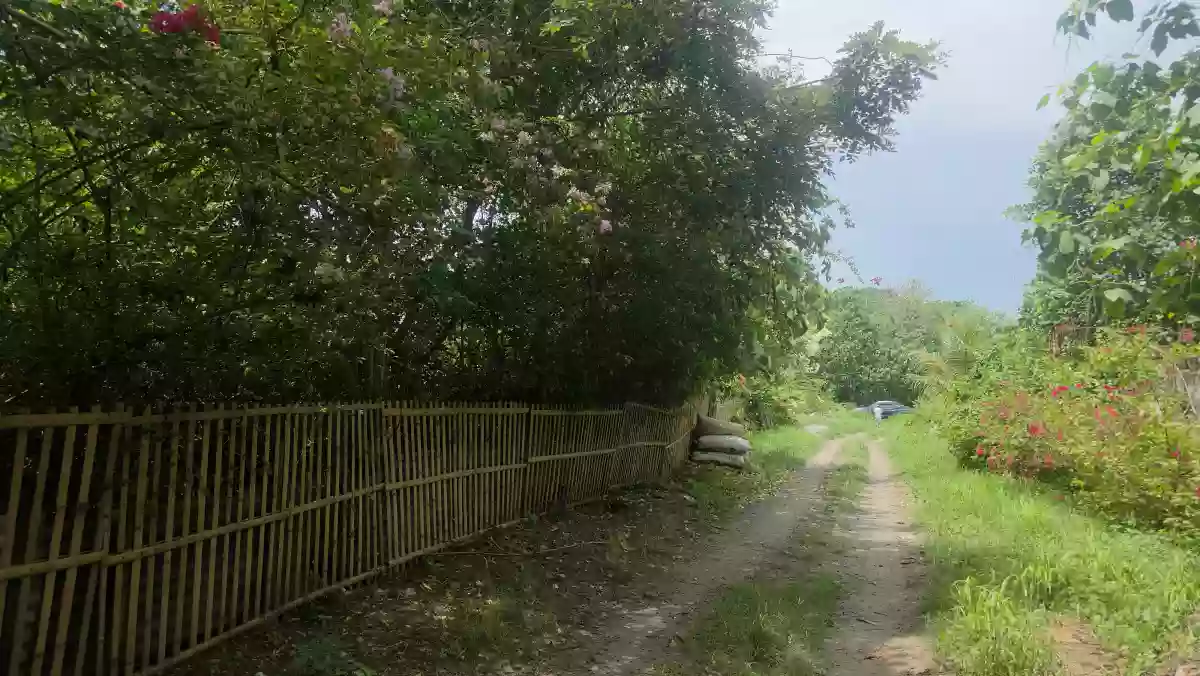 Residential Lots for Sale — Residential Lot in Mabuhay, Gen. Santos City, South Cotabato — Photo 5
