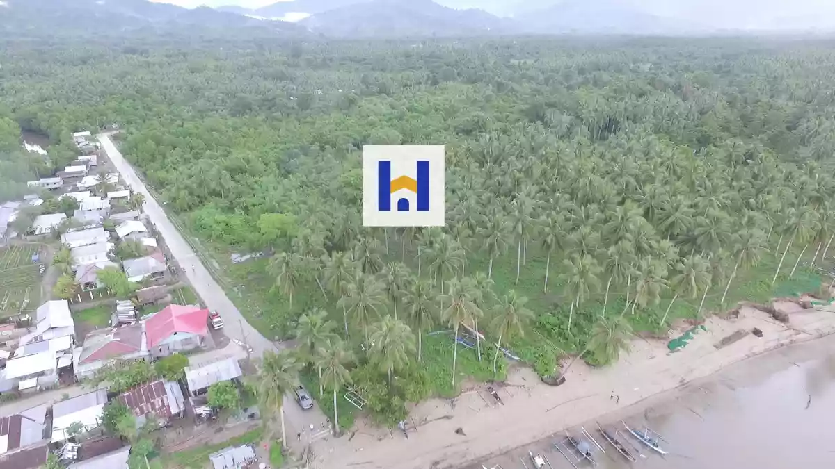 For Sale: Beach Lot in Lucbuan, Puerto Princesa City — Titled Property — Beach Lot in Puerto Princesa City, Palawan, 5300 — Photo 2