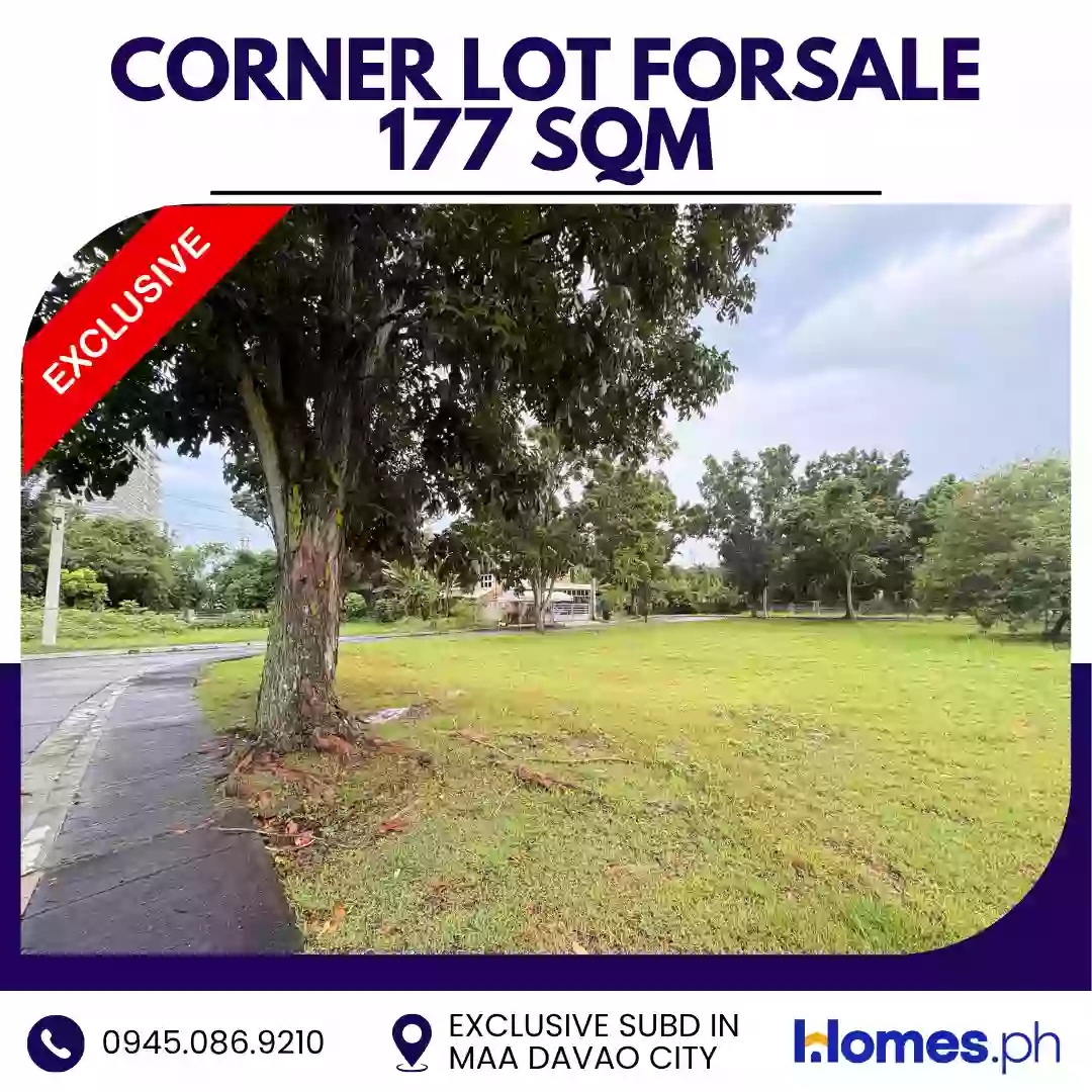 For Sale: Residential Lot in Ma-a, Davao City — 177 sqm Corner Lot — Residential Lot in Davao City, Davao del Sur, 8000 — Photo 3
