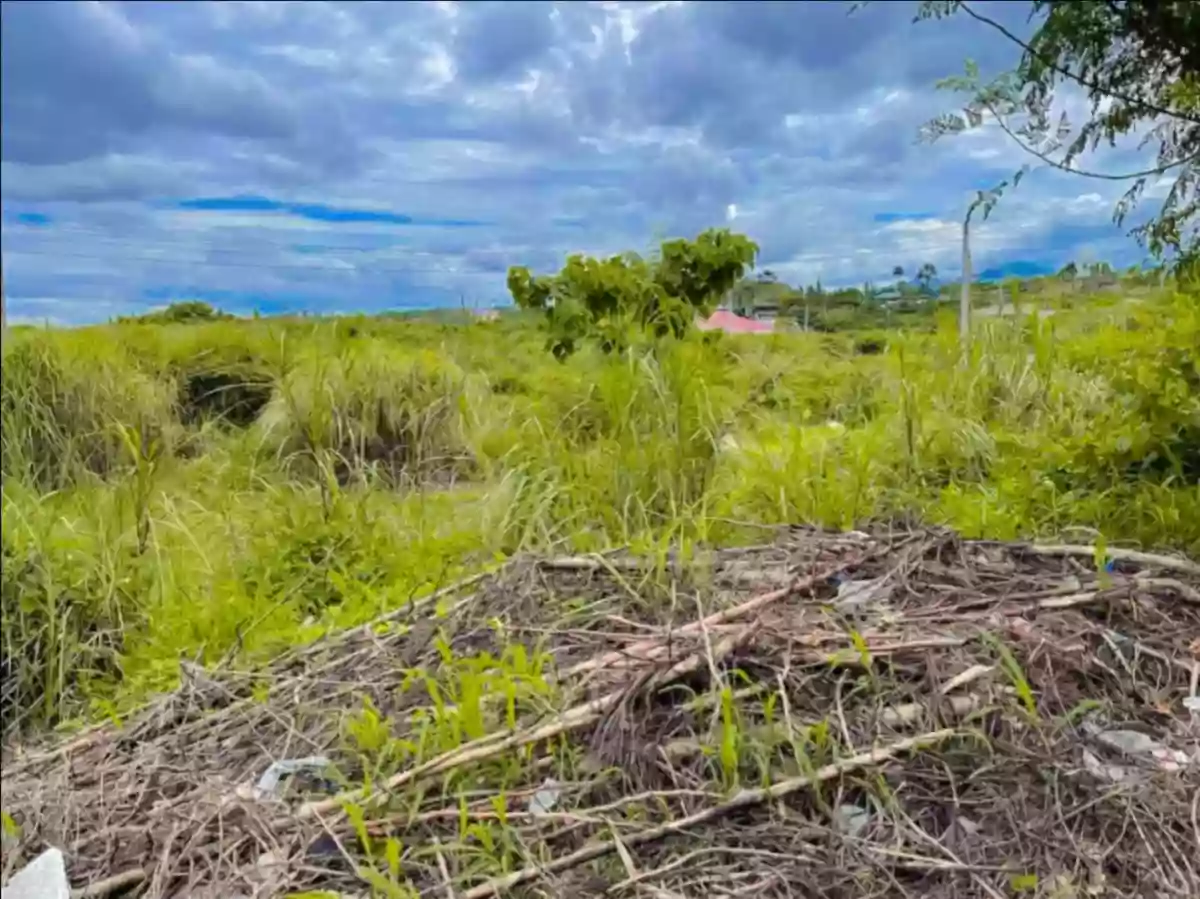 For Sale: Residential Lot in Santa Cruz, Liloan, Cebu — 276 sqm — Residential Lot in Liloan, Cebu, 6002 — Photo 5