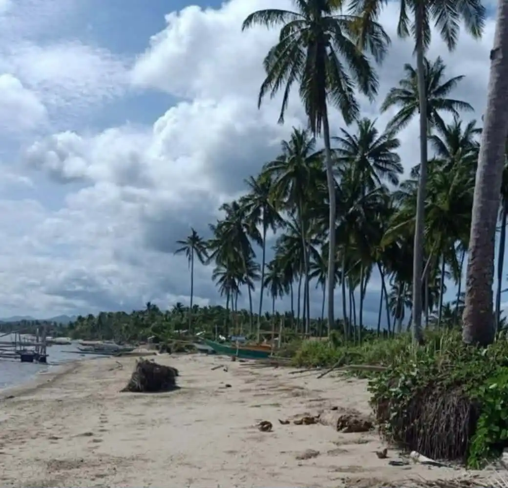 For Sale: Lucbuan Beach Lot in Puerto Princesa City — 195329 sqm Investment — Beach Lot in Puerto Princesa City, Palawan, 5300 — Photo 5
