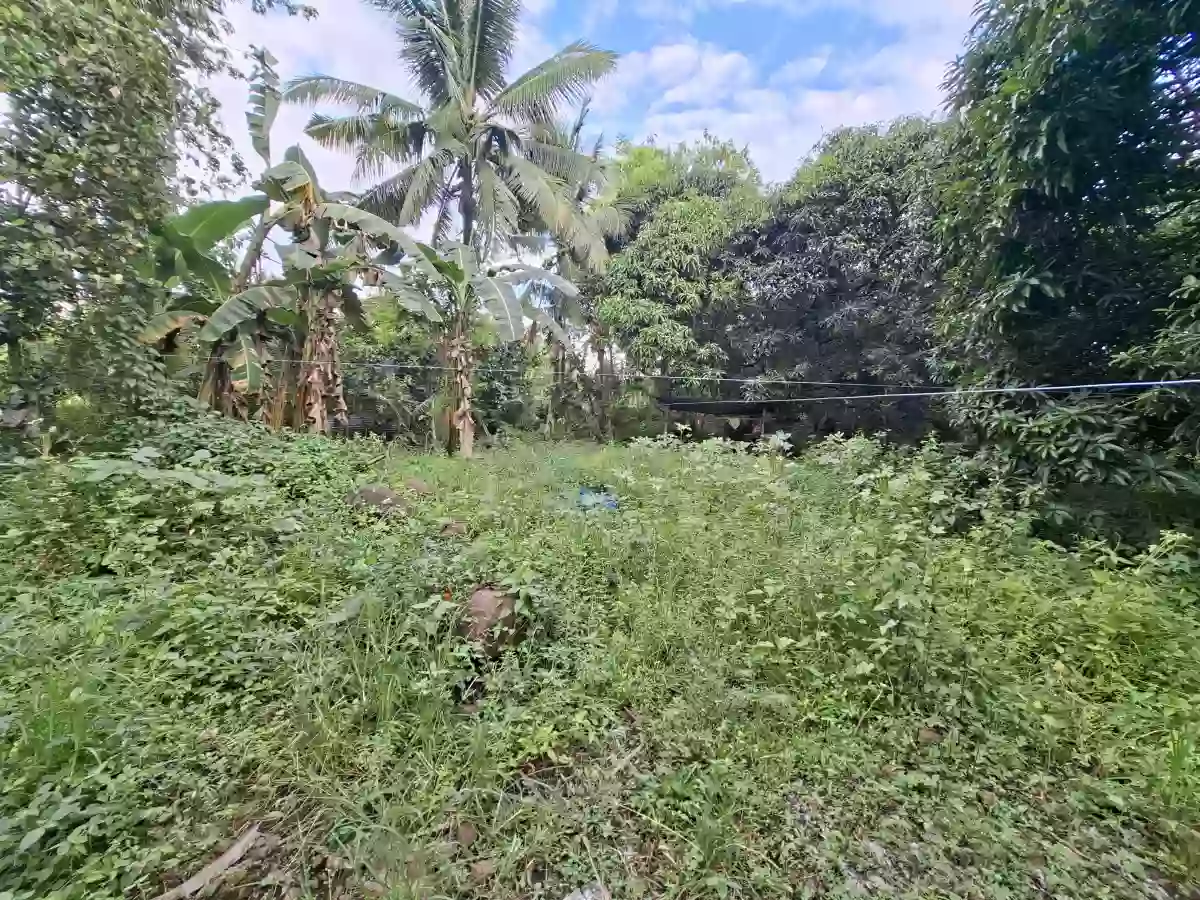 For Sale: Residential Lot in Indahag, Cagayan de Oro City — 2166 sqm — Residential Lot in Cagayan de Oro City, Misamis Oriental, 9000 — Photo 5