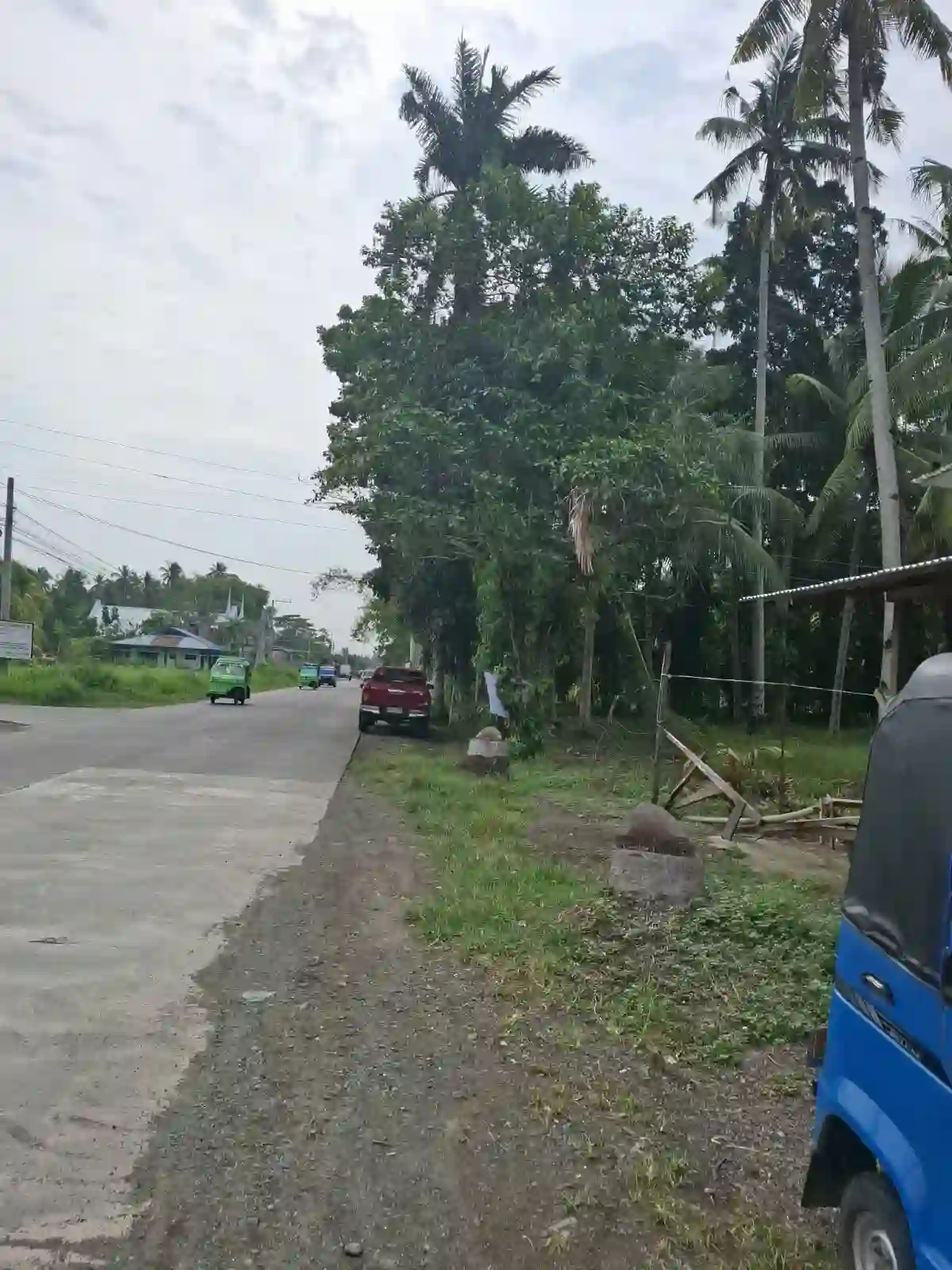 π‘ LOT FOR SALE β SAN MIGUEL, TAGUM CITY β Agricultural Lot in Tagum City, Davao del Norte, 8100 β Photo 5