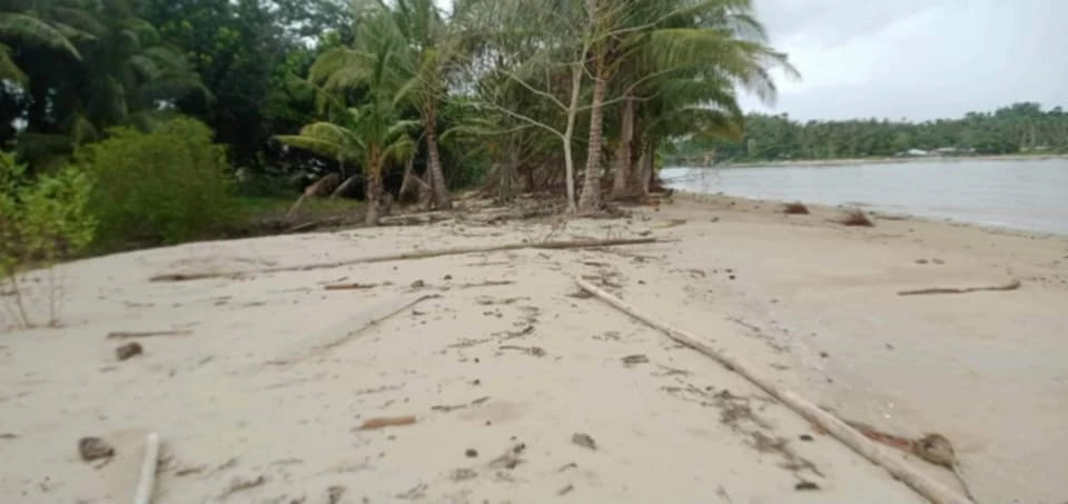 For Sale: Beach Lot in Rizal, Roxas Palawan — 3500 sqm — Beach Lot in Roxas, Palawan, 5308 — Photo 3