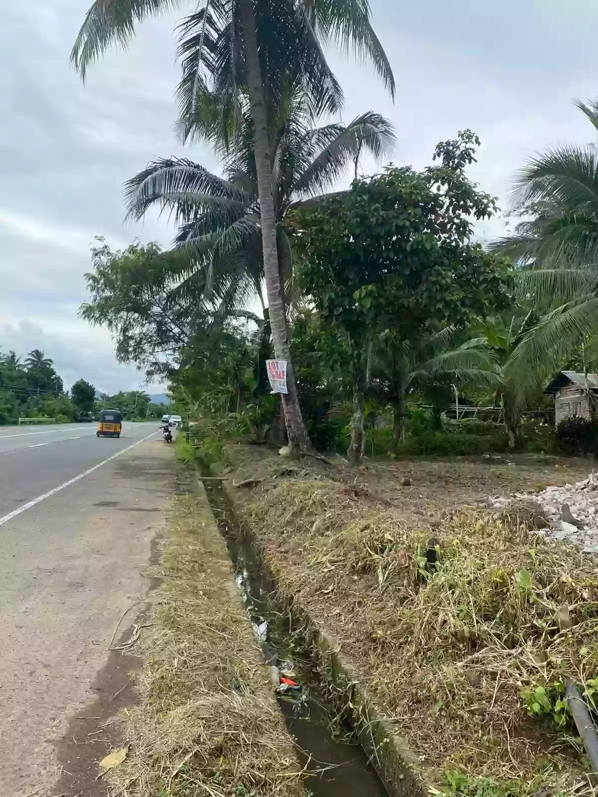 For Sale: Residential Lot Near Pongtud Elementary School, Alegria — 380 sqm — Residential Lot in Alegria, Surigao del Norte, 8425 — Photo 3