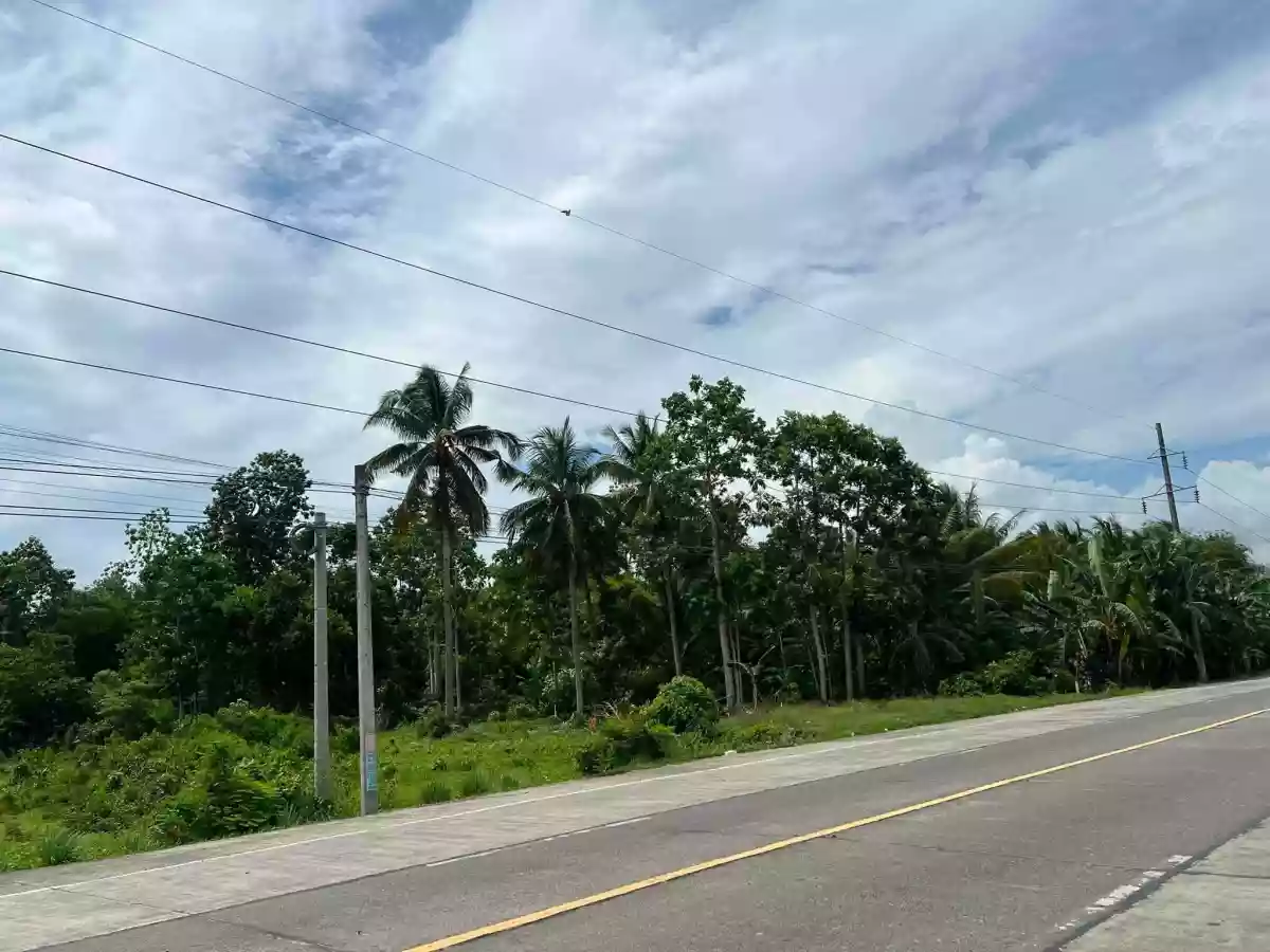 For Sale: Agricultural Lot in Soriano, Cabadbaran City — 3226 sqm — Agricultural Lot in Cabadbaran City, Agusan del Norte, 8605 — Photo 5