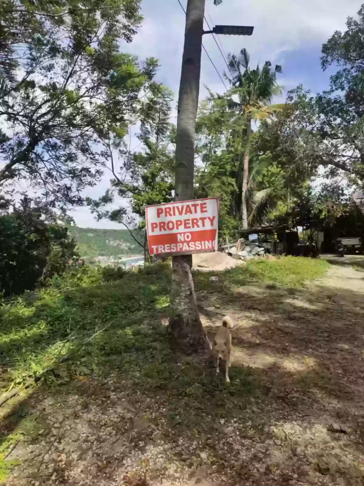 For Sale: Residential Lot in Poblacion, Boljoon, Cebu — Residential Lot in Boljoon, Cebu, 6024 — Photo 6