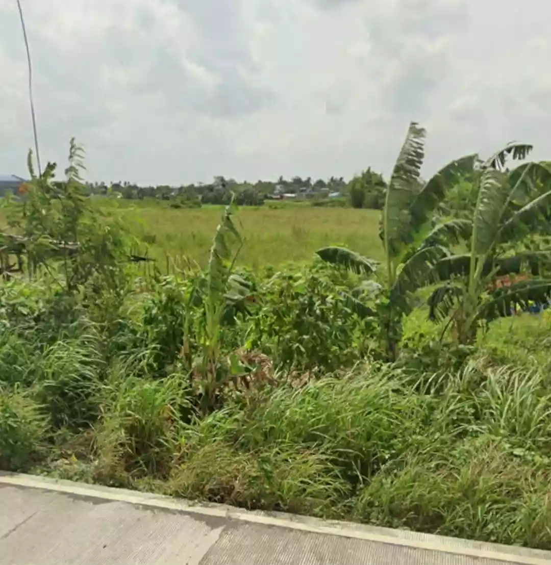 Commercial Lot for Lease — Agricultural Lot in Cararayan, Naga City, Camarines Sur — Photo 2