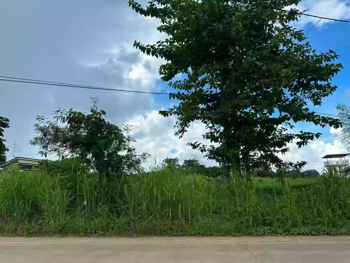 For Sale: Commercial/Residential Lot in Sicsican, Puerto Princesa City, Palawan