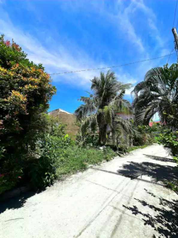 Residential Lot for Sale in (Sabang, Danao City) Subdivision Near Main Road and Entrance - photo 3