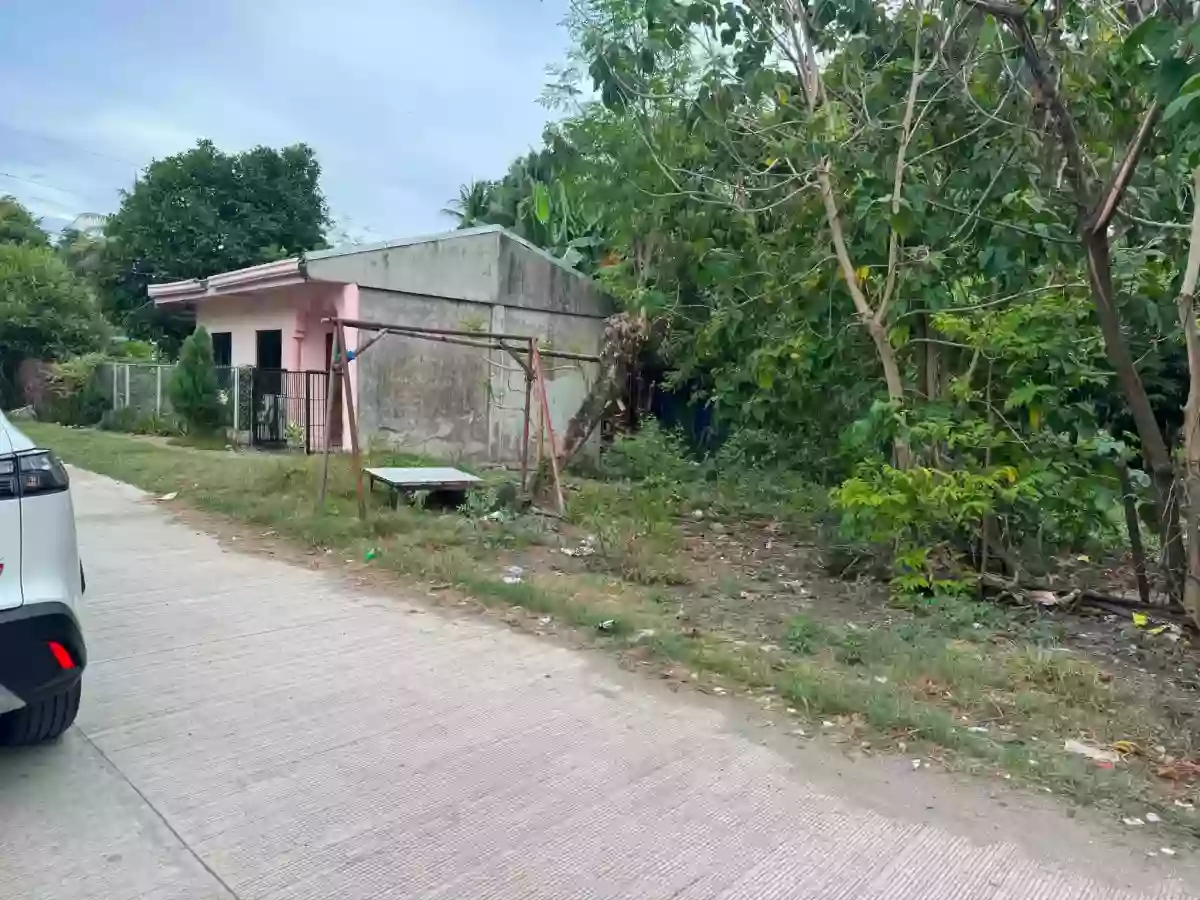 For Sale: Commercial Lot in Poblacion, Zamboanguita — 626 sqm — Commercial Lot in Zamboanguita, Negros Oriental, 6218 — Photo 2