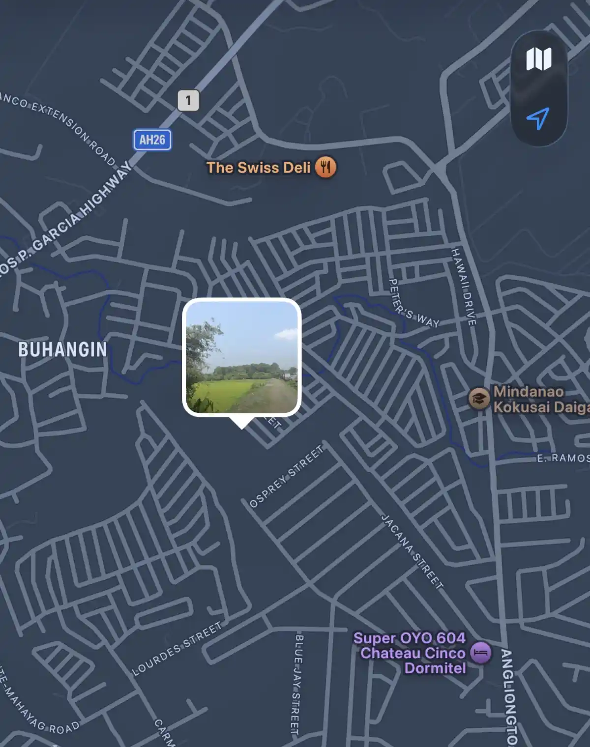 Open photo 8 of 9 — for sale Residential Lot in Buhangin (Pob.), Davao City — 40314 sqm